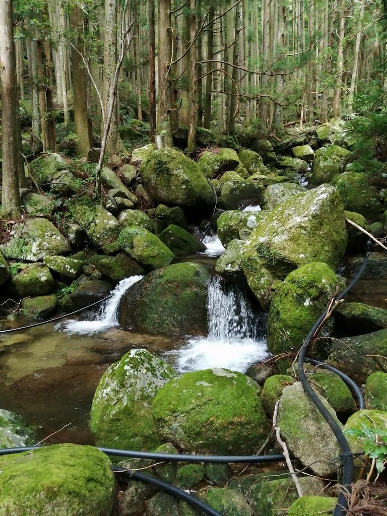 入口横の川