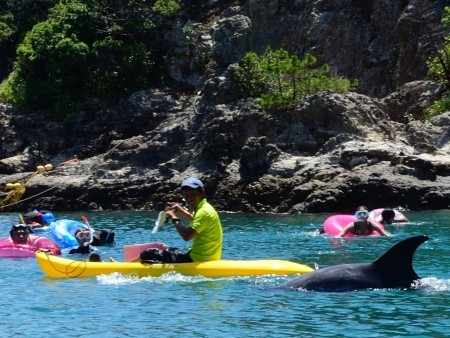 太地町くじらと泳げる海水浴場の画像