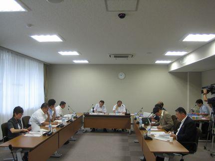 観光振興に係る条例案検討会<第8回>の画像