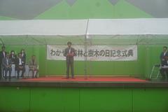森林樹木2