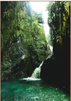 植魚の滝（古座川町）の写真