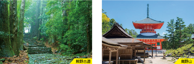 高野山 壇上伽藍と熊野古道 大門坂の画像