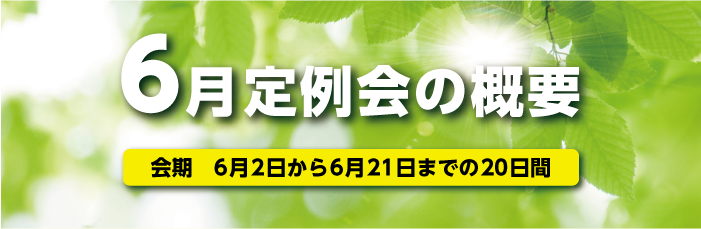 6月定例会の概要