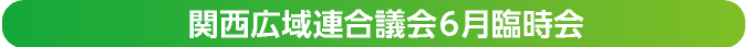 関西広域連合議会6月臨時会