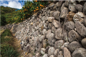 石積み階段園の画像