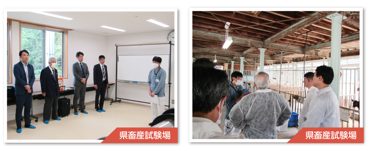 県畜産試験場の調査の様子