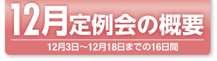 12月定例会概要