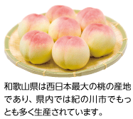 桃の写真。　和歌山県は西日本最大の桃の産地であり、県内では紀の川市でもっとも多く生産されています。