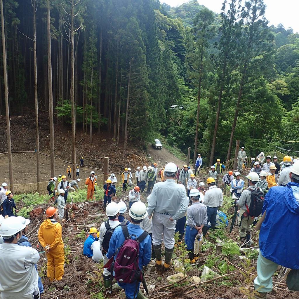 〈コンテナ苗植栽現地検討会〉