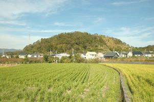 湯浅党城館跡