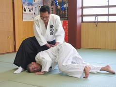 関口新心流