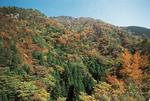 紅葉する熊野の山々