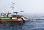 紀伊水道での底引網漁船