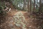 鹿ヶ瀬峠の熊野古道の石畳