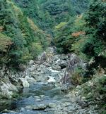 古座川上流のV字谷(古座川町松根)