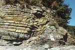 砂岩・でい岩の地層でできた牟婁層群