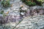 小さな断層が見られる結晶片岩のがけ