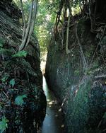 石清水八幡宮によって開発されたと考えられる用水路