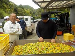 インターンシップ研修