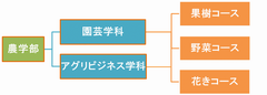 学科とコースの概要図