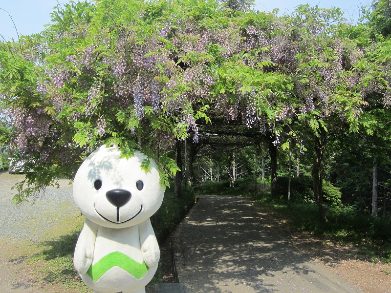 苫小牧 市 みやま の 里