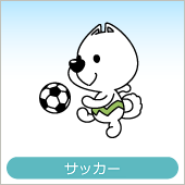 国体・サッカー