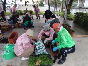 ボランティアによる花植えの様子