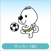 大会・サッカー